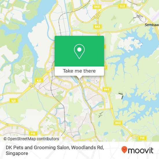 DK Pets and Grooming Salon, Woodlands Rd map