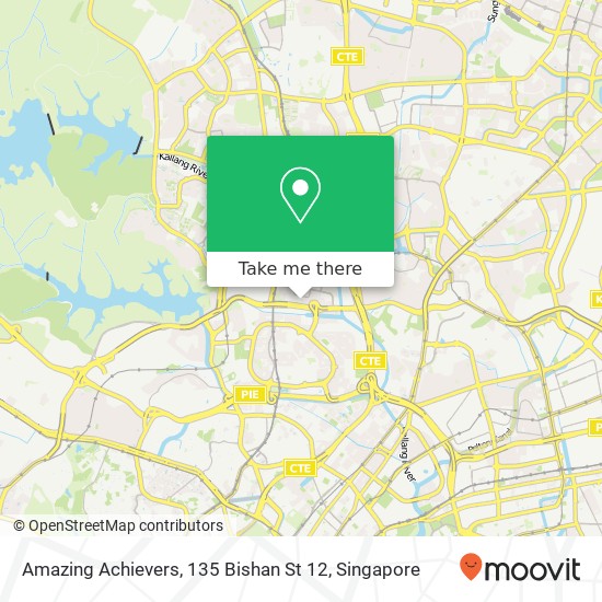 Amazing Achievers, 135 Bishan St 12地图