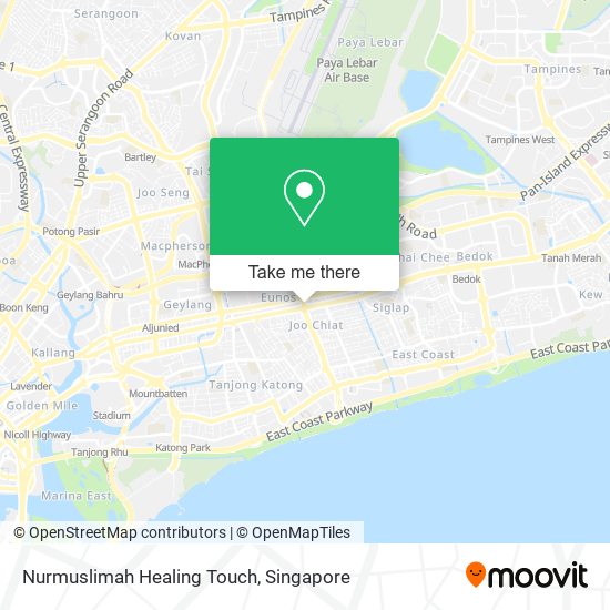 Nurmuslimah Healing Touch map