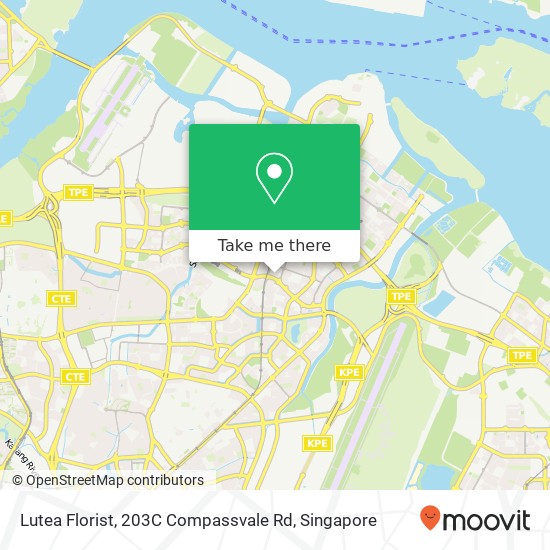 Lutea Florist, 203C Compassvale Rd map