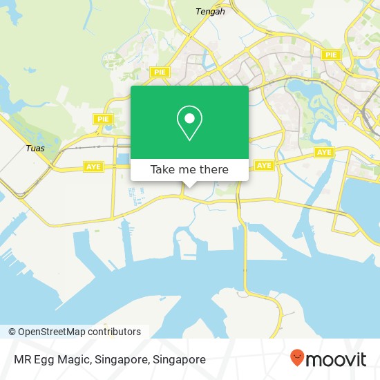 MR Egg Magic, Singapore map