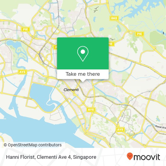 Hanni Florist, Clementi Ave 4地图