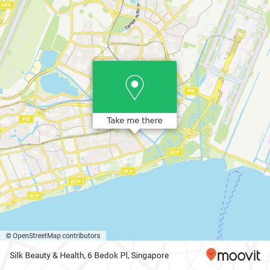 Silk Beauty & Health, 6 Bedok Pl地图