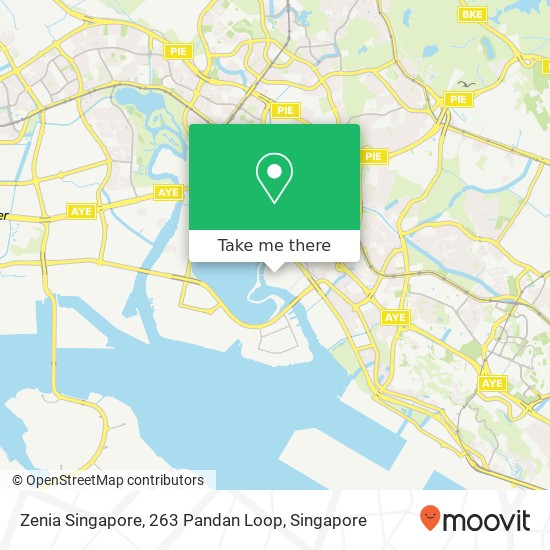 Zenia Singapore, 263 Pandan Loop map