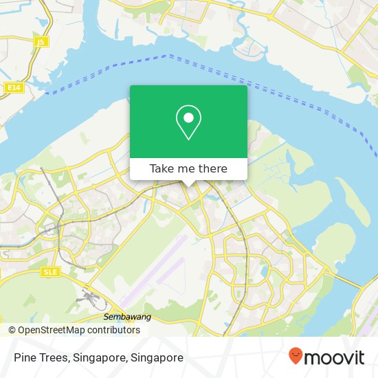 Pine Trees, Singapore地图