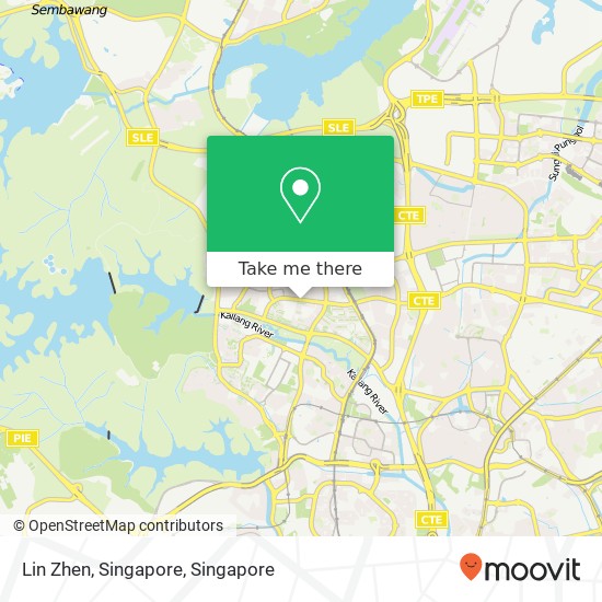Lin Zhen, Singapore map