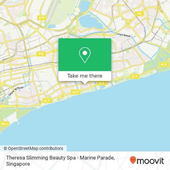 Theresa Slimming Beauty Spa - Marine Parade地图