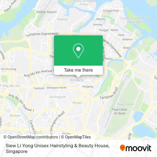 Siew Li Yong Unisex Hairstyling & Beauty House地图