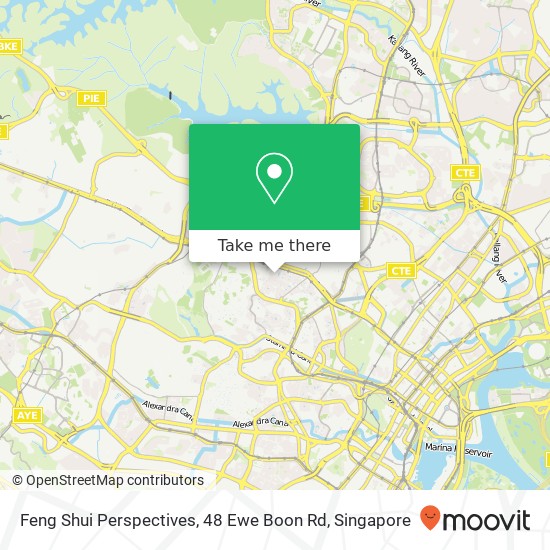 Feng Shui Perspectives, 48 Ewe Boon Rd map