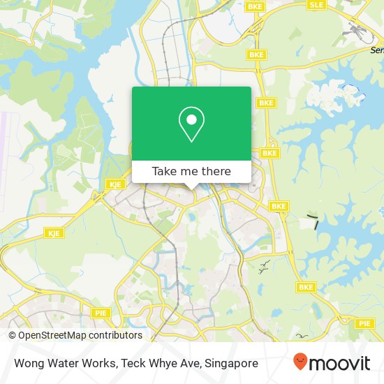 Wong Water Works, Teck Whye Ave map