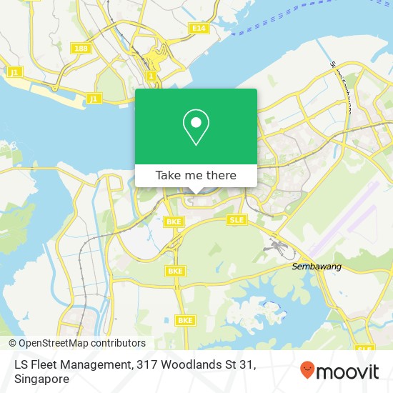 LS Fleet Management, 317 Woodlands St 31地图