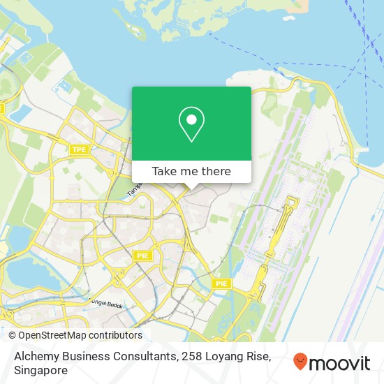 Alchemy Business Consultants, 258 Loyang Rise map