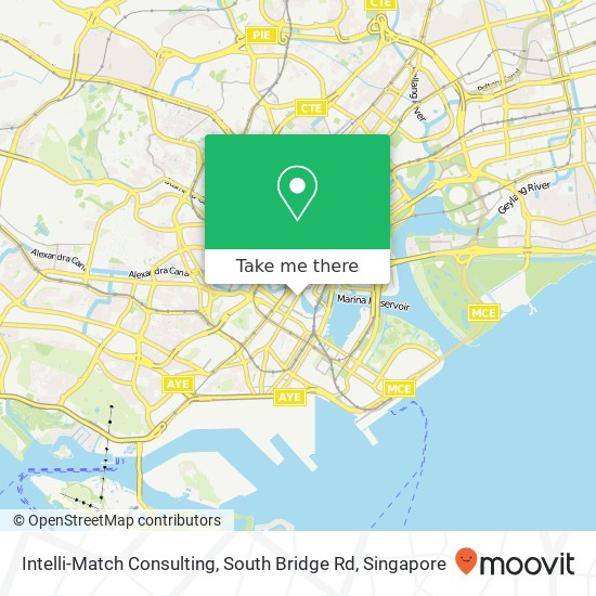 Intelli-Match Consulting, South Bridge Rd map
