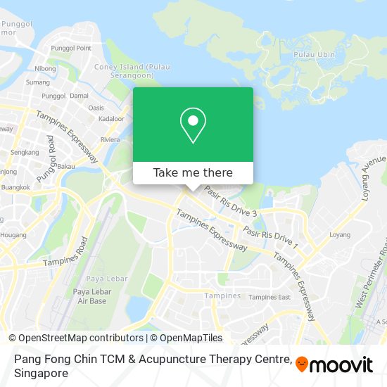 Pang Fong Chin TCM & Acupuncture Therapy Centre map