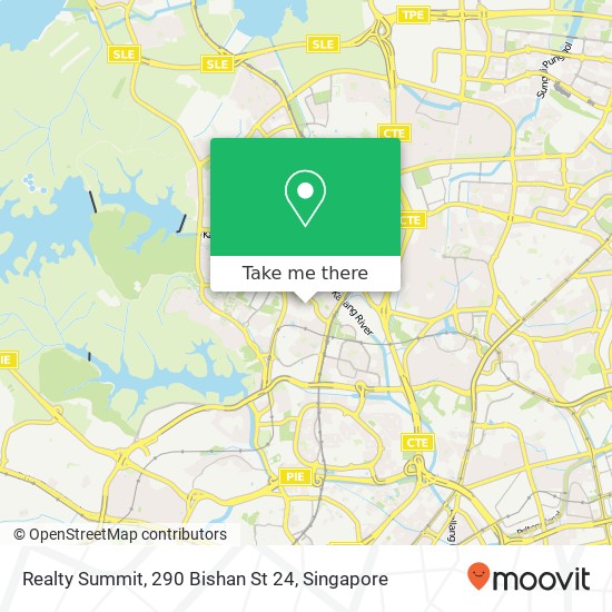 Realty Summit, 290 Bishan St 24地图