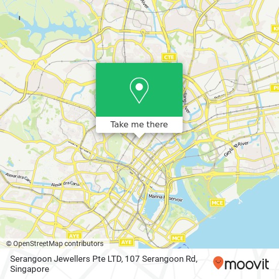 Serangoon Jewellers Pte LTD, 107 Serangoon Rd地图