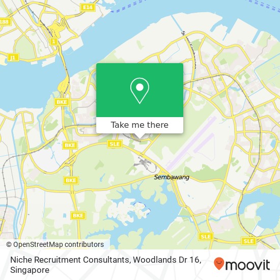 Niche Recruitment Consultants, Woodlands Dr 16 map