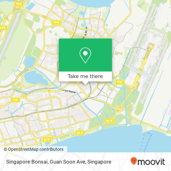 Singapore Bonsai, Guan Soon Ave地图