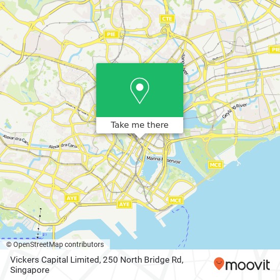 Vickers Capital Limited, 250 North Bridge Rd地图