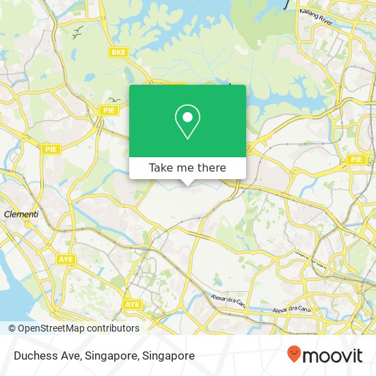 Duchess Ave, Singapore map