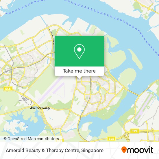 Amerald Beauty & Therapy Centre地图