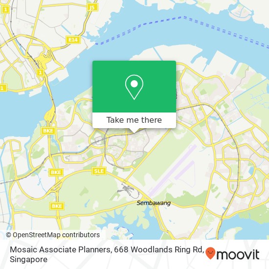 Mosaic Associate Planners, 668 Woodlands Ring Rd地图