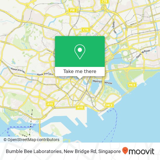 Bumble Bee Laboratories, New Bridge Rd地图