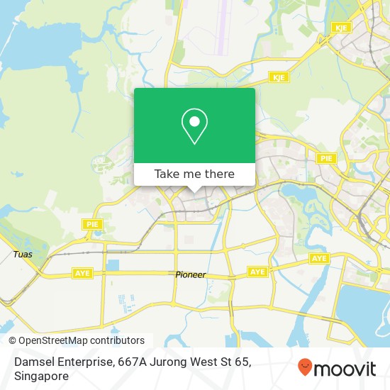 Damsel Enterprise, 667A Jurong West St 65地图