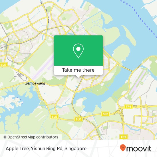 Apple Tree, Yishun Ring Rd地图