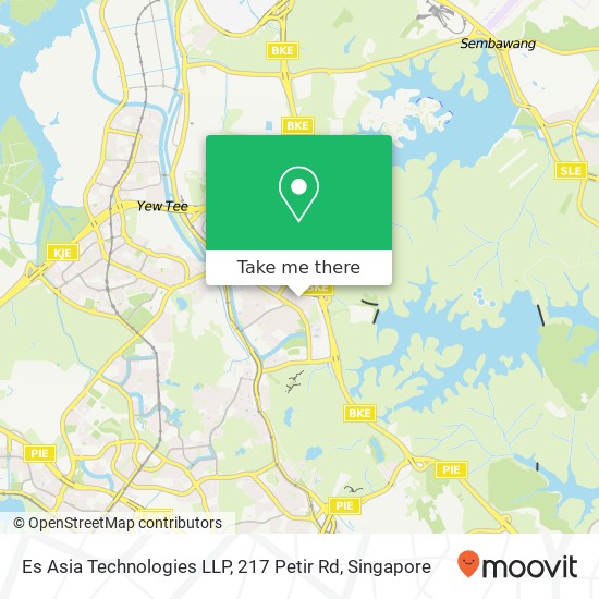 Es Asia Technologies LLP, 217 Petir Rd map