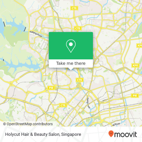 Holycut Hair & Beauty Salon map