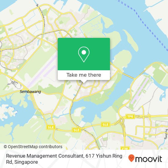 Revenue Management Consultant, 617 Yishun Ring Rd地图