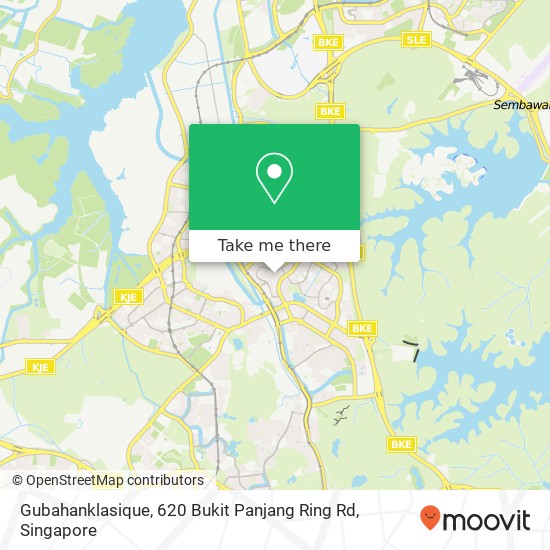 Gubahanklasique, 620 Bukit Panjang Ring Rd地图