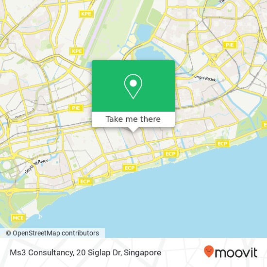 Ms3 Consultancy, 20 Siglap Dr地图