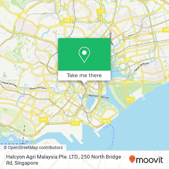 Halcyon Agri Malaysia Pte. LTD., 250 North Bridge Rd地图