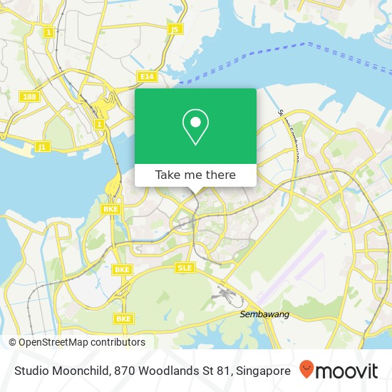 Studio Moonchild, 870 Woodlands St 81 map