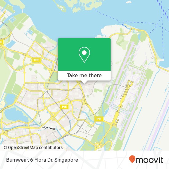 Bumwear, 6 Flora Dr map