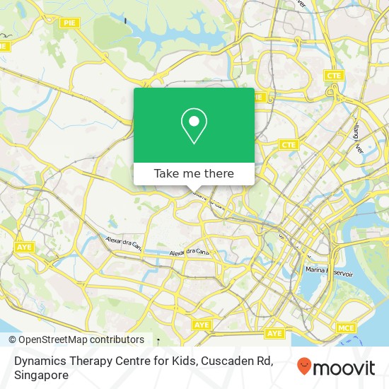 Dynamics Therapy Centre for Kids, Cuscaden Rd map