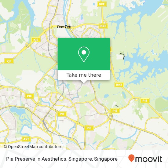 Pia Preserve in Aesthetics, Singapore map