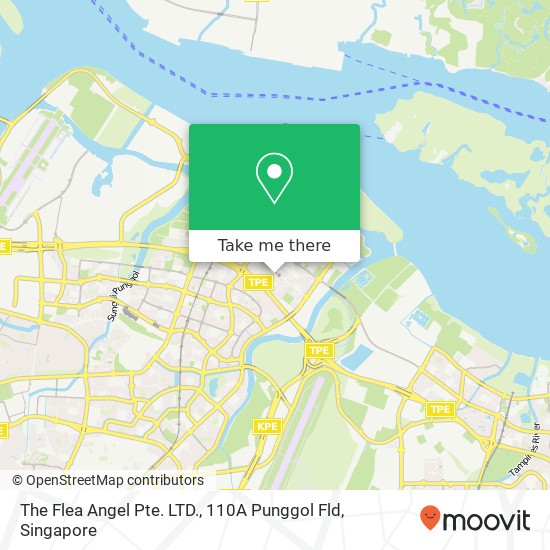 The Flea Angel Pte. LTD., 110A Punggol Fld map