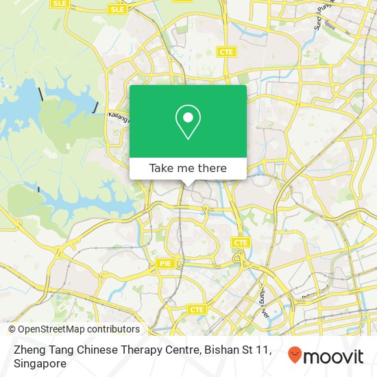 Zheng Tang Chinese Therapy Centre, Bishan St 11 map