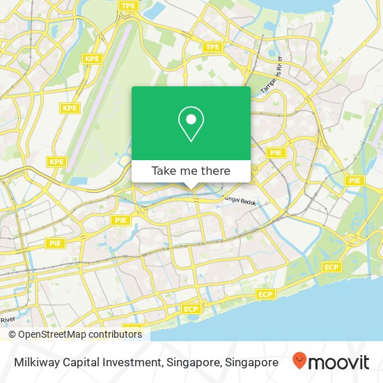 Milkiway Capital Investment, Singapore map