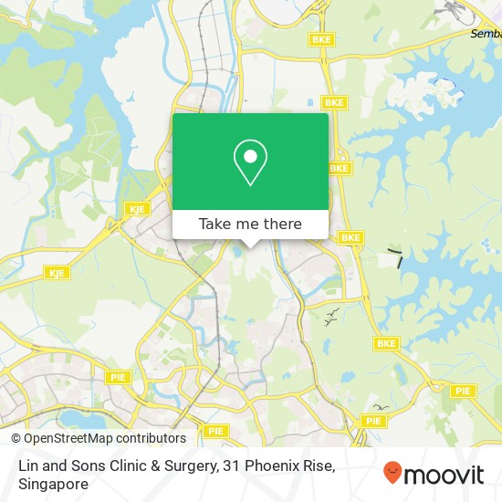 Lin and Sons Clinic & Surgery, 31 Phoenix Rise map