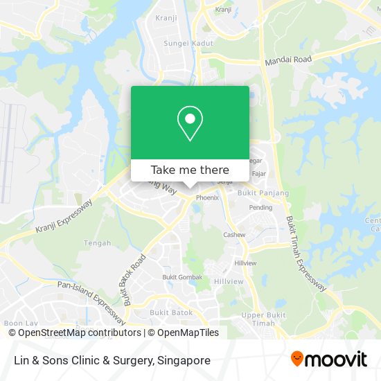Lin & Sons Clinic & Surgery map