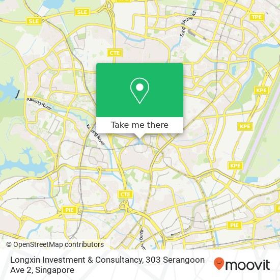 Longxin Investment & Consultancy, 303 Serangoon Ave 2 map