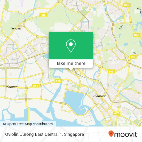 Oviolin, Jurong East Central 1地图