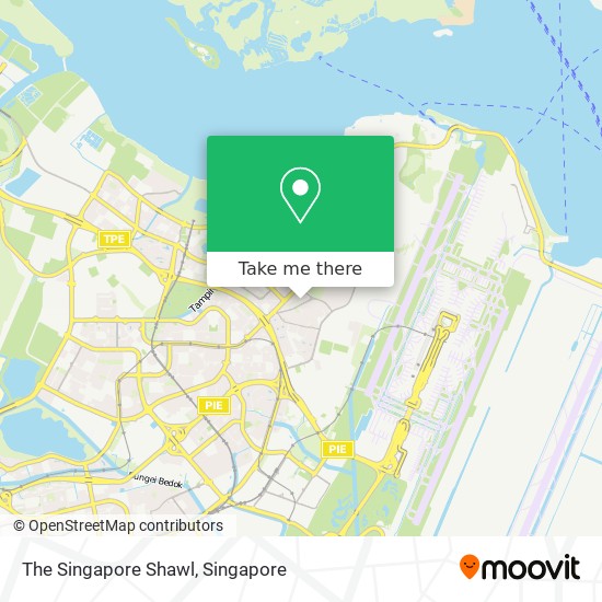 The Singapore Shawl map