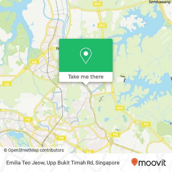 Emilia Teo Jeow, Upp Bukit Timah Rd map