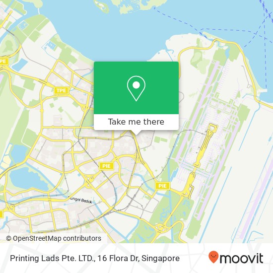 Printing Lads Pte. LTD., 16 Flora Dr map