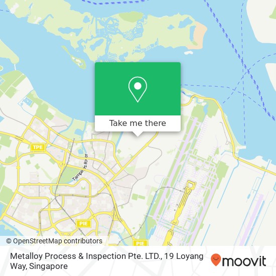 Metalloy Process & Inspection Pte. LTD., 19 Loyang Way map